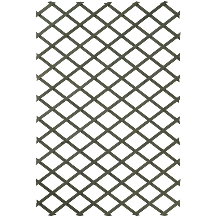 Nature Nature Garden Slat Werke 2 ST 50x150 cm Holz grün