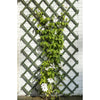 Nature Nature Garden Slat Werke 2 ST 50x150 cm Holz grün