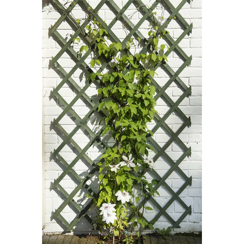 Nature Nature Garden Slat Werke 2 ST 50x150 cm Holz grün