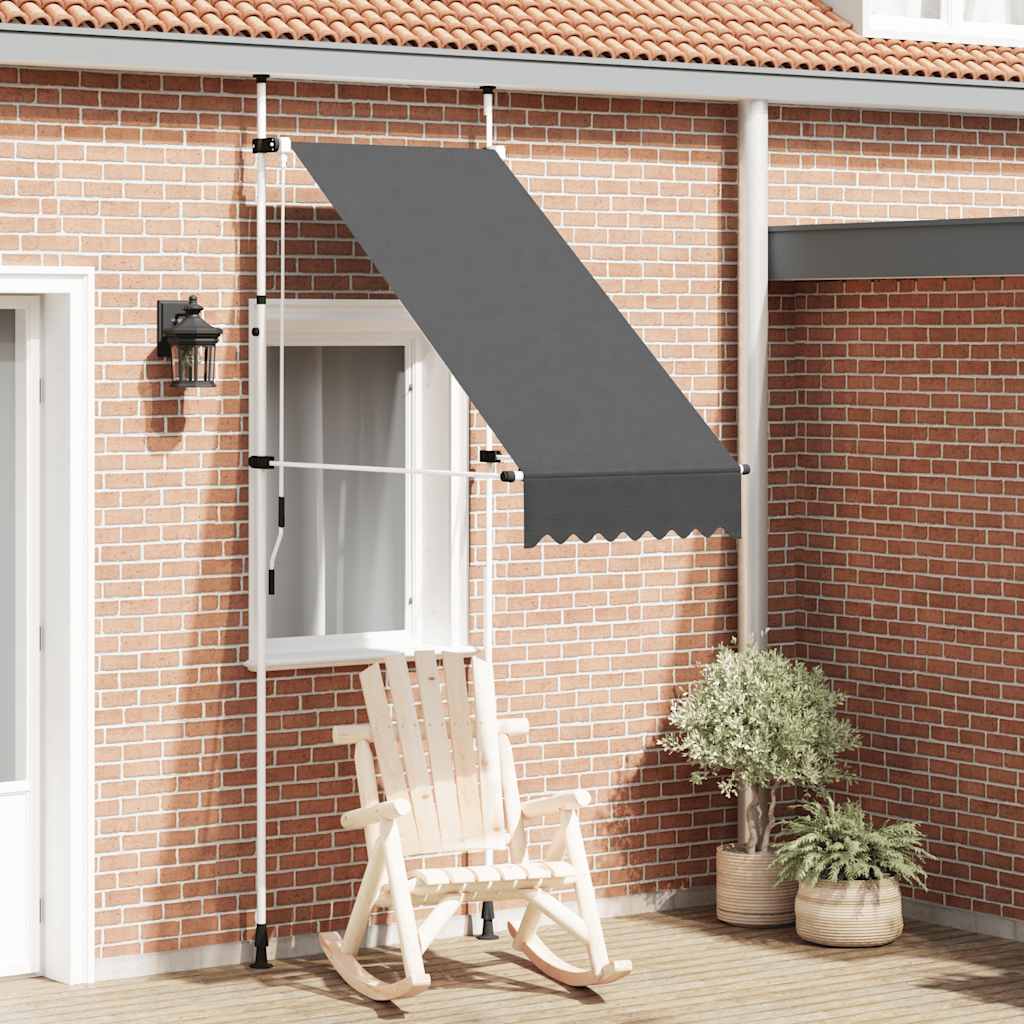 Vidaxl luifel manuell ausziehbar 100 cm Anthrazit
