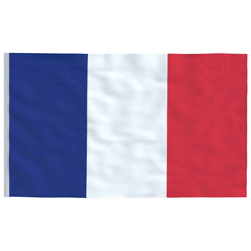 Vidaxl Flag Frankreich 90x150 cm