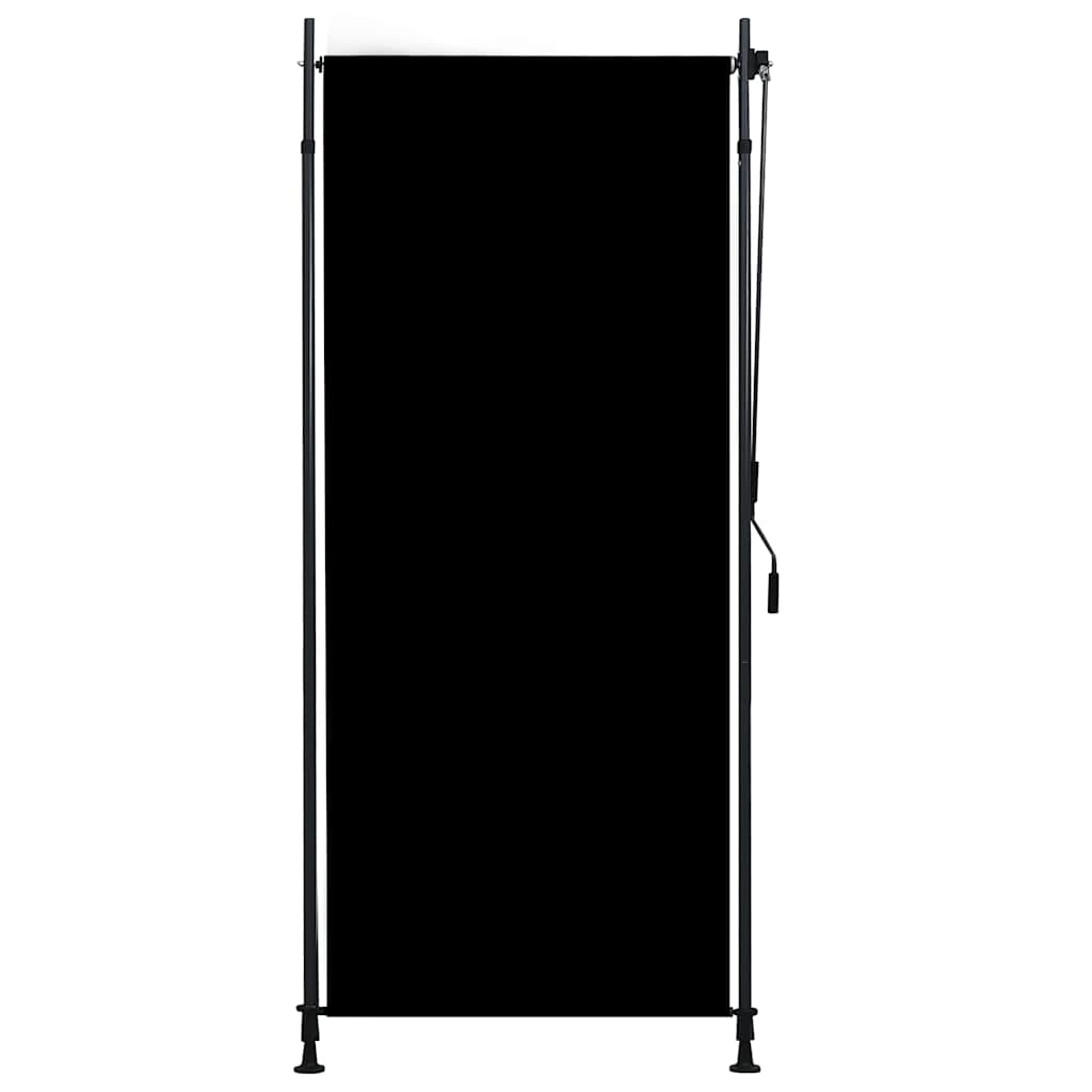 Vidaxl Roller Blind für externe 100x270 cm Anthrazit