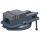 Vidaxl Vize -Rotatable 160 mm Gusseisen