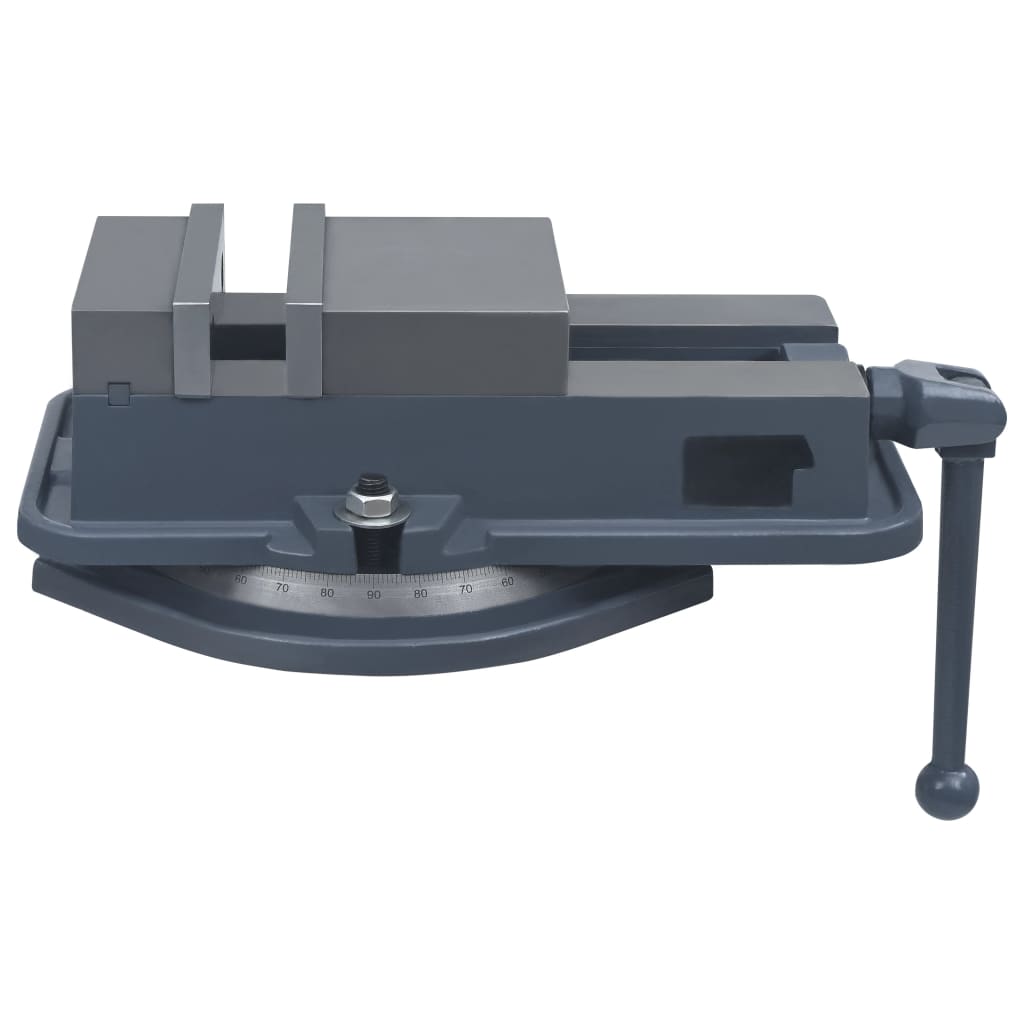 Vidaxl Vize -Rotatable 160 mm Gusseisen