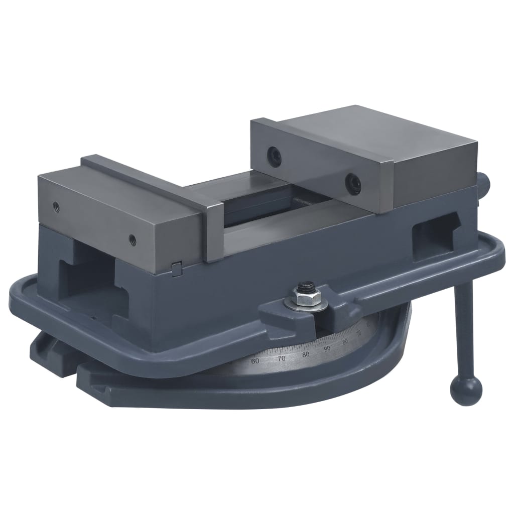 Vidaxl Vize -Rotatable 160 mm Gusseisen