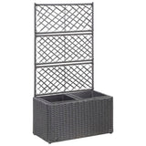 Vidaxl Latwerkplantenbak mit Töpfen 58x30x107 cm Rattan Schwarz - afbeelding 1