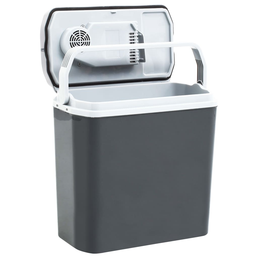 VIDAXL COOLL BOX Thermoelektrisch tragbar 12 V 230 V e 20 l