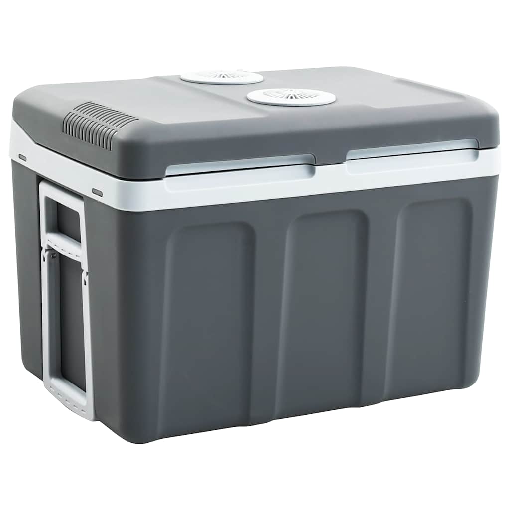 Vidaxl Cool Box Thermoelektrisch tragbar 12 V 230 V E 40 l