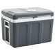 Vidaxl Cool Box Thermoelektrisch tragbar 12 V 230 V E 40 l