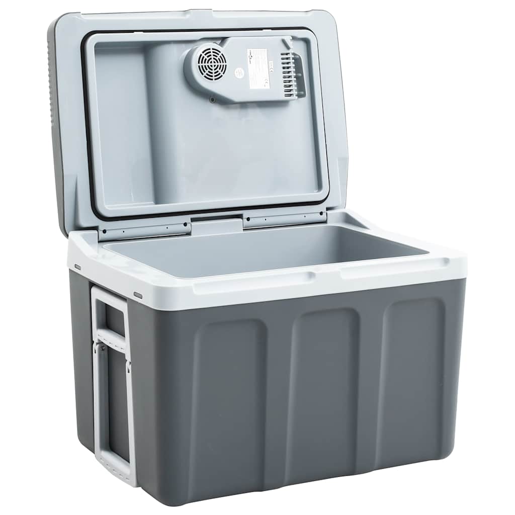 Vidaxl Cool Box Thermoelektrisch tragbar 12 V 230 V E 40 l