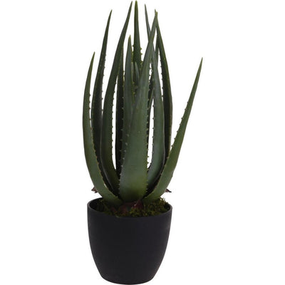 Progarden Progarden Künstliche Pflanze in Topf Aloe Vera 25x45 cm