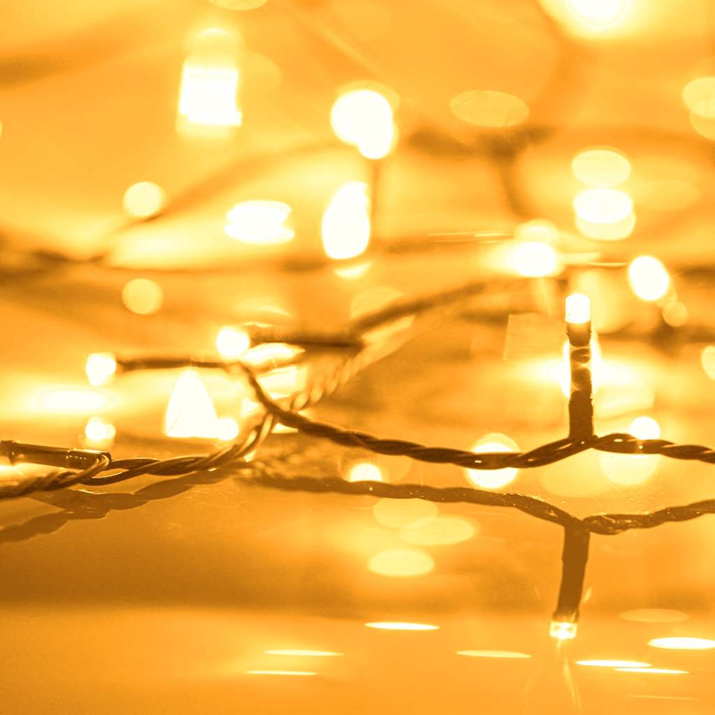 Vidaxl Light Cord 2000 LEDs für Innen- und Außen -IP44 200 m warmes Weiß