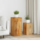 VIDAXL -Pflanzenstandards 2 Stcs Solid Mango Holz