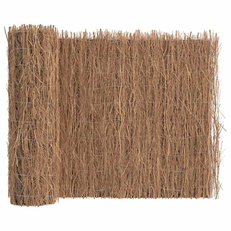 Vidaxx Paravent 600x100 cm Reisig