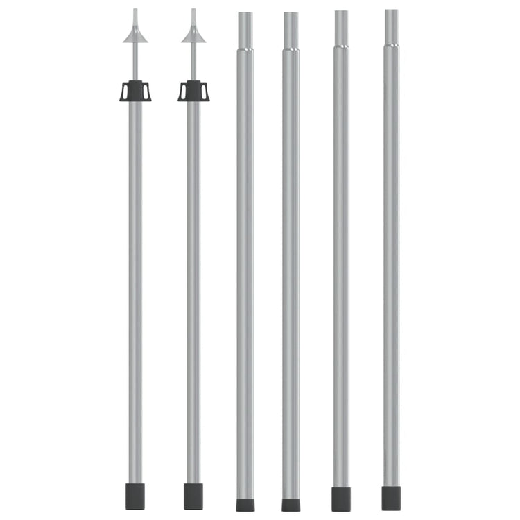 Vidaxl Laifel Sticks 2 PC Telescopic 102-260 cm Aluminium