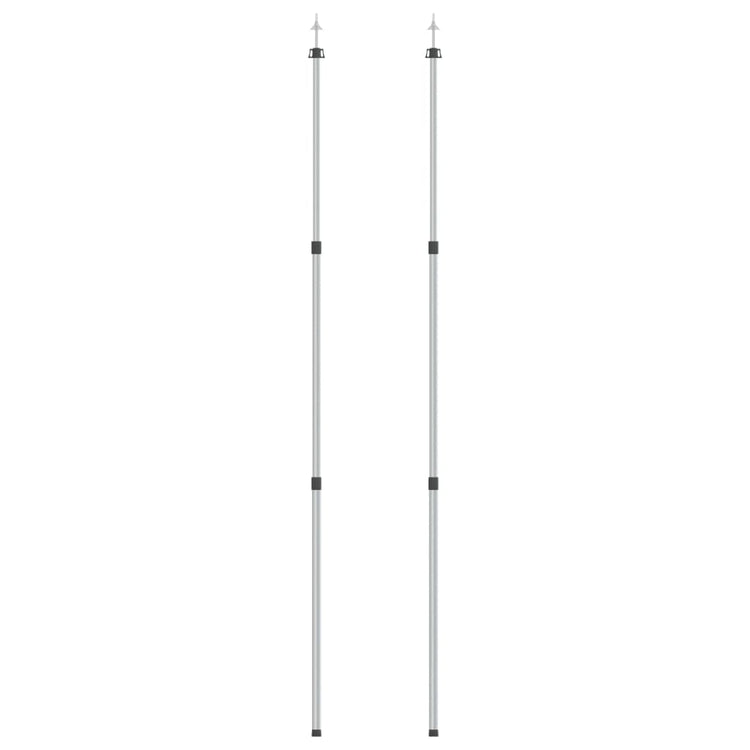 Vidaxl Laifel Sticks 2 PC Telescopic 102-260 cm Aluminium