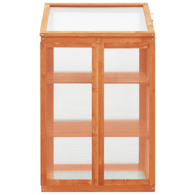 Vidaxl Greenhouse 60x45x100 cm Vurenhout