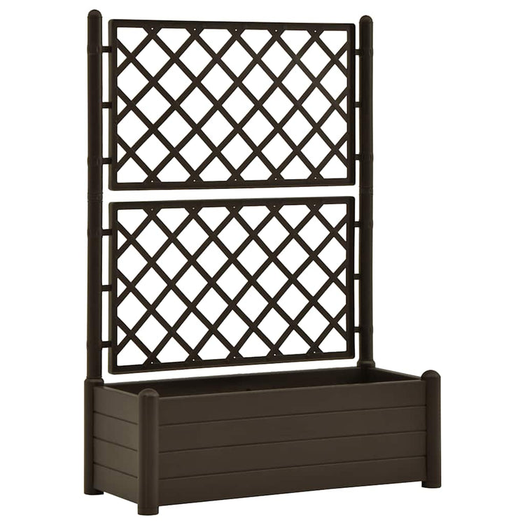 VIDAXL -Pflanzer mit Latwerk 100x43x142 cm pp mokka
