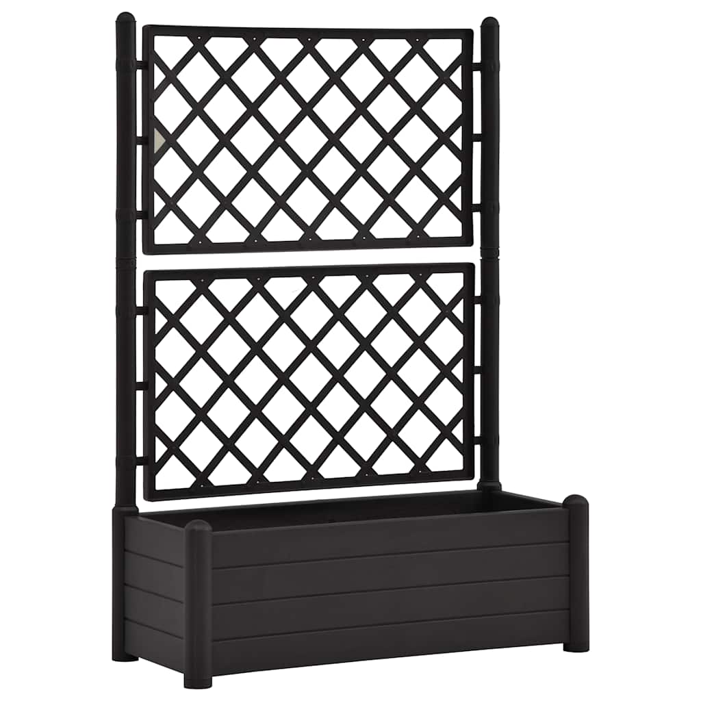 Vidaxl -Pflanzer mit Latwerk 100x43x142 cm PP Anthrazit