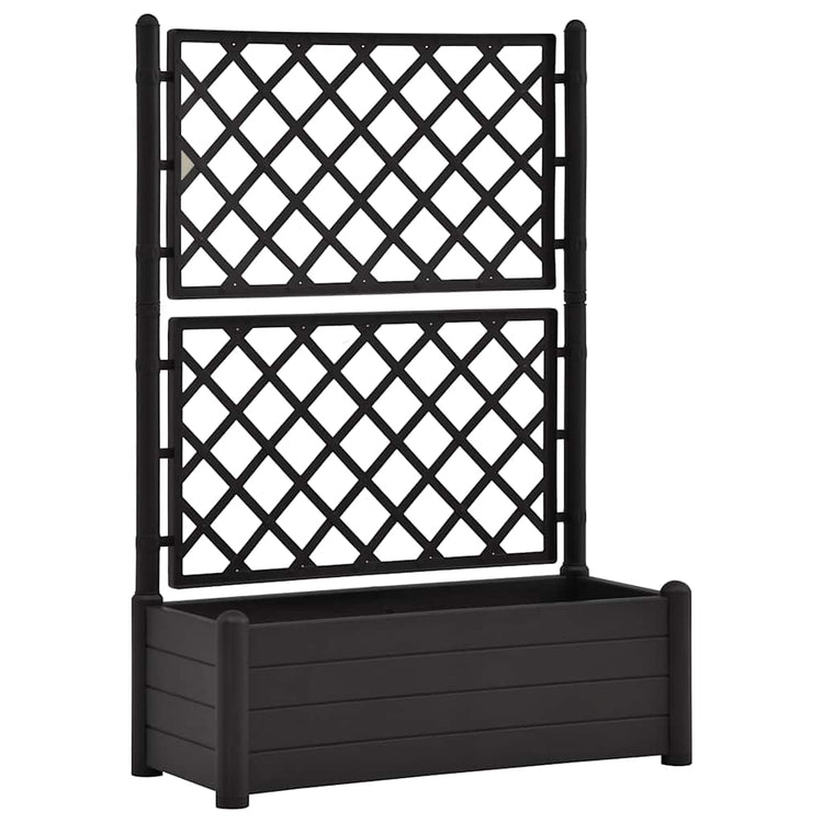 Vidaxl -Pflanzer mit Latwerk 100x43x142 cm PP Anthrazit
