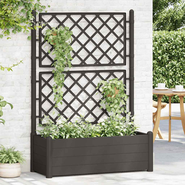 Vidaxl -Pflanzer mit Latwerk 100x43x142 cm PP Anthrazit