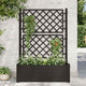 Vidaxl -Pflanzer mit Latwerk 100x43x142 cm PP Anthrazit