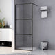 Vidaxl begehete Duschwand transparent 100x195 cm ESG Glas schwarz