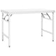 VIDAXL KÜCHTLICHKEIT TABEL COLLAPLIBLE 120 x 60 x 80 cm Edelstahl
