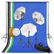 Vidaxl Photo Studio Set mit Lampen, Regenschirmen, Hintergrund und Reflektor