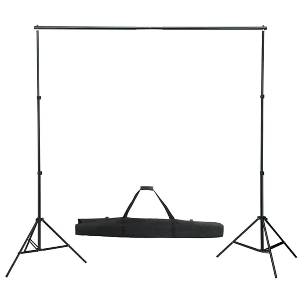 Vidaxl Photo Studio Set mit Lampen, Hintergrund und Reflektor