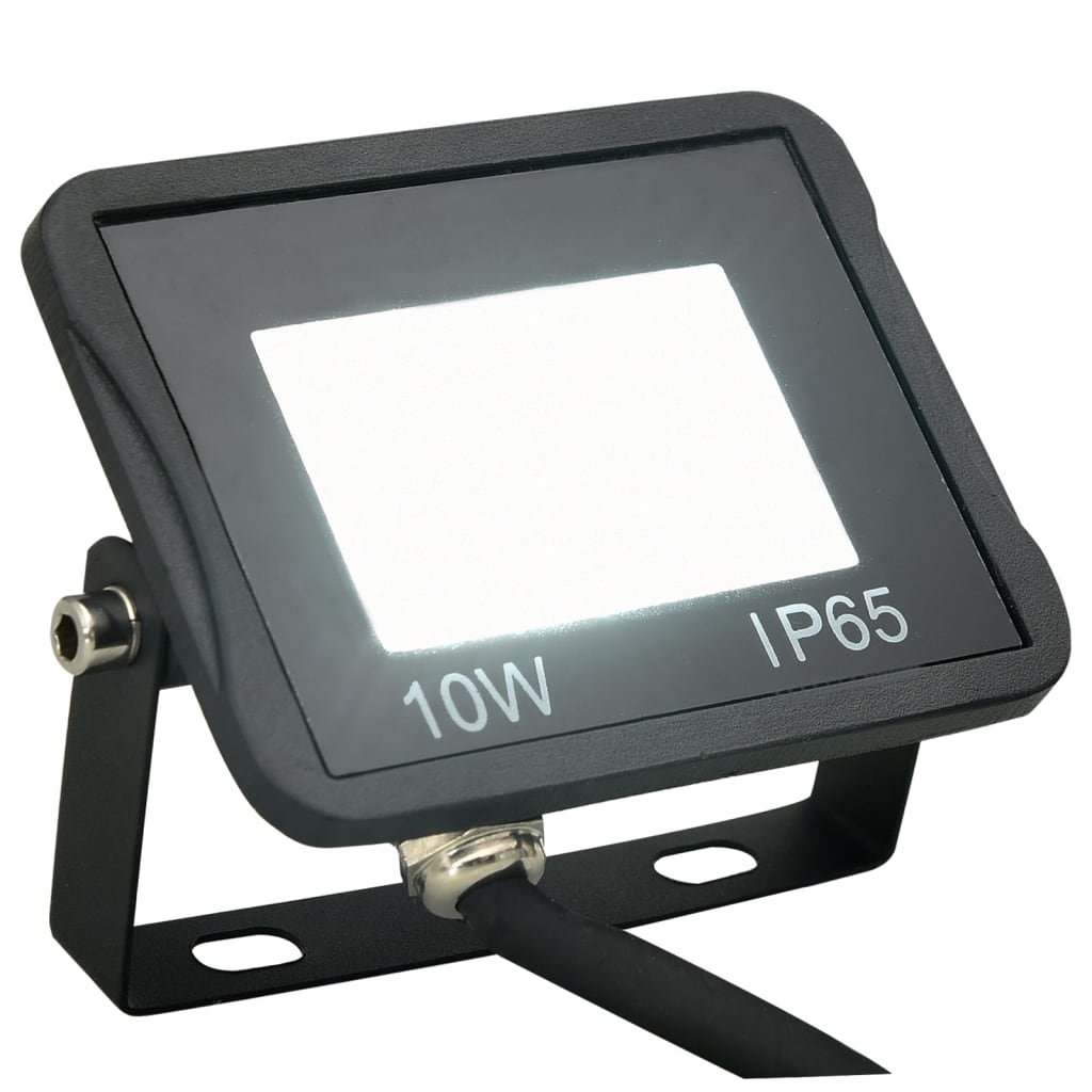 Vidaxl -Scheinwerfer 2 ST LED 10 W Kalt weiß