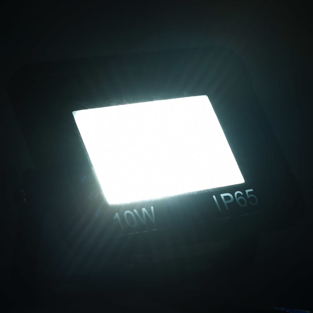 Vidaxl -Scheinwerfer 2 ST LED 10 W Kalt weiß