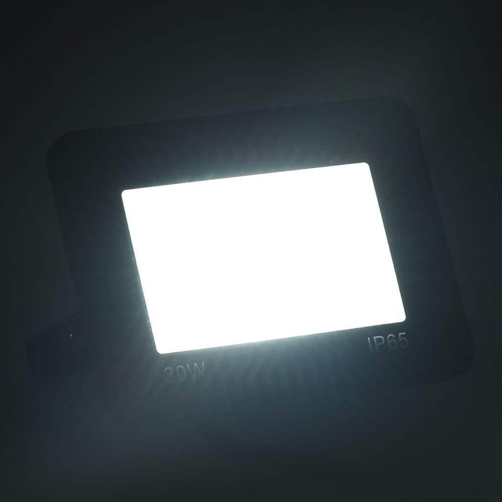 Vidaxl Spotlight LED 30 W Kalt weiß