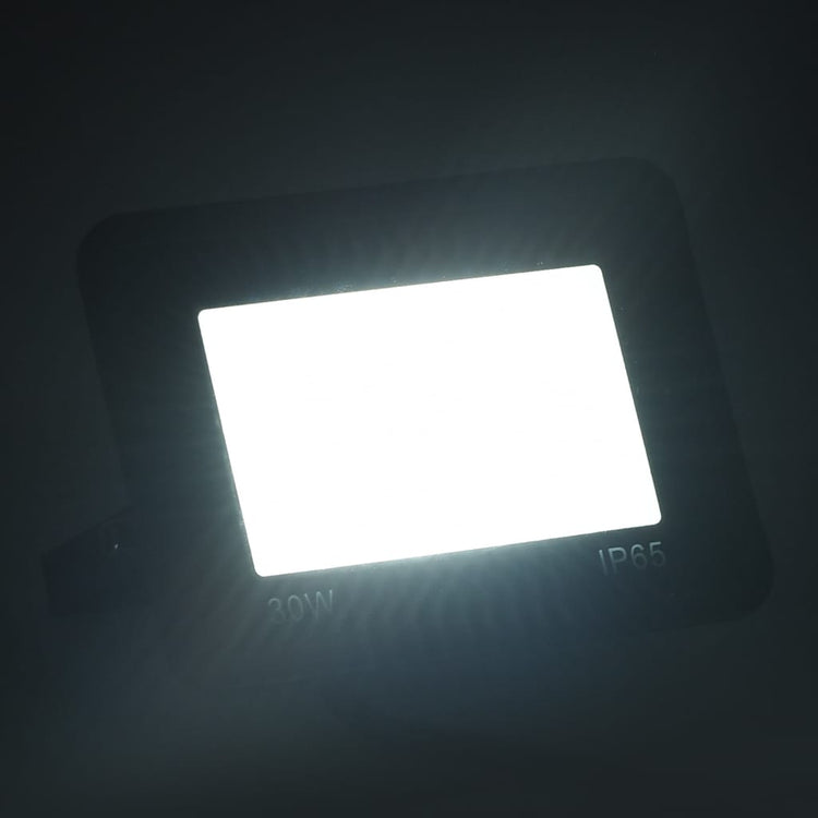 Vidaxl -Scheinwerfer 2 ST LED 30 W Kalt weiß