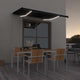 Vidaxl luifel manuell erweiterbar mit LED 300x250 cm Anthrazitfarbe