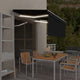 Vidaxx Markisenautomatik mit Vorhang LED-Windsensor 3x2,5 m Anthrazit