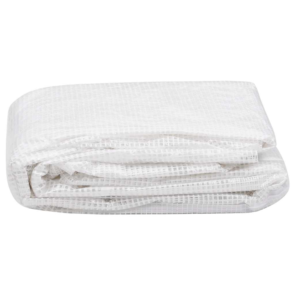 Vidaxl Kashoes Ersatz (18 m²) 3x6x2 m transparent