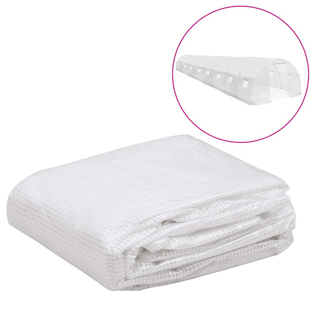 Vidaxl Kashoes Ersatz (36 m²) 3x12x2 m transparent