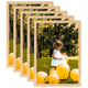 VIDAXL -Fotorahmen 5 STs für Wand oder Tabelle 70 x 90 cm Licht Eiche -Colored
