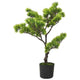 Vidaxl Künstliche Pflanze mit Pot Pinus Bonsai 60 cm Grün