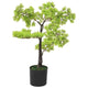 VIDAXL Künstliche Pflanze mit Topf Cipres Bonsai 60 cm Grün