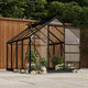 VidaXL Ersatzglas für Gartengewächshaus 16 Stück gehärtetes Glas