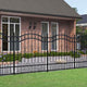 Vidaxl -Gartenzaun mit Spilepunkten 165 cm Pulver -Stahlschwarz