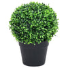 VIDAXL Künstliche Pflanzen mit Topf 2 St buxus sphärische Formation 27 cm Grün