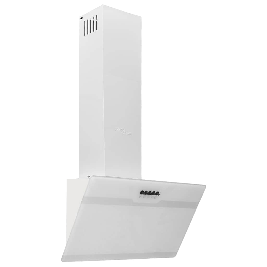 Vidaxl Wandextraktionshaube 60 cm Stahl und geschmittertes Glasweiß