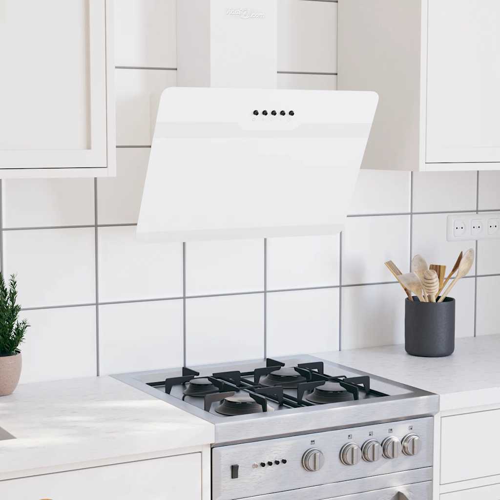 Vidaxl Wandextraktionshaube 60 cm Stahl und geschmittertes Glasweiß