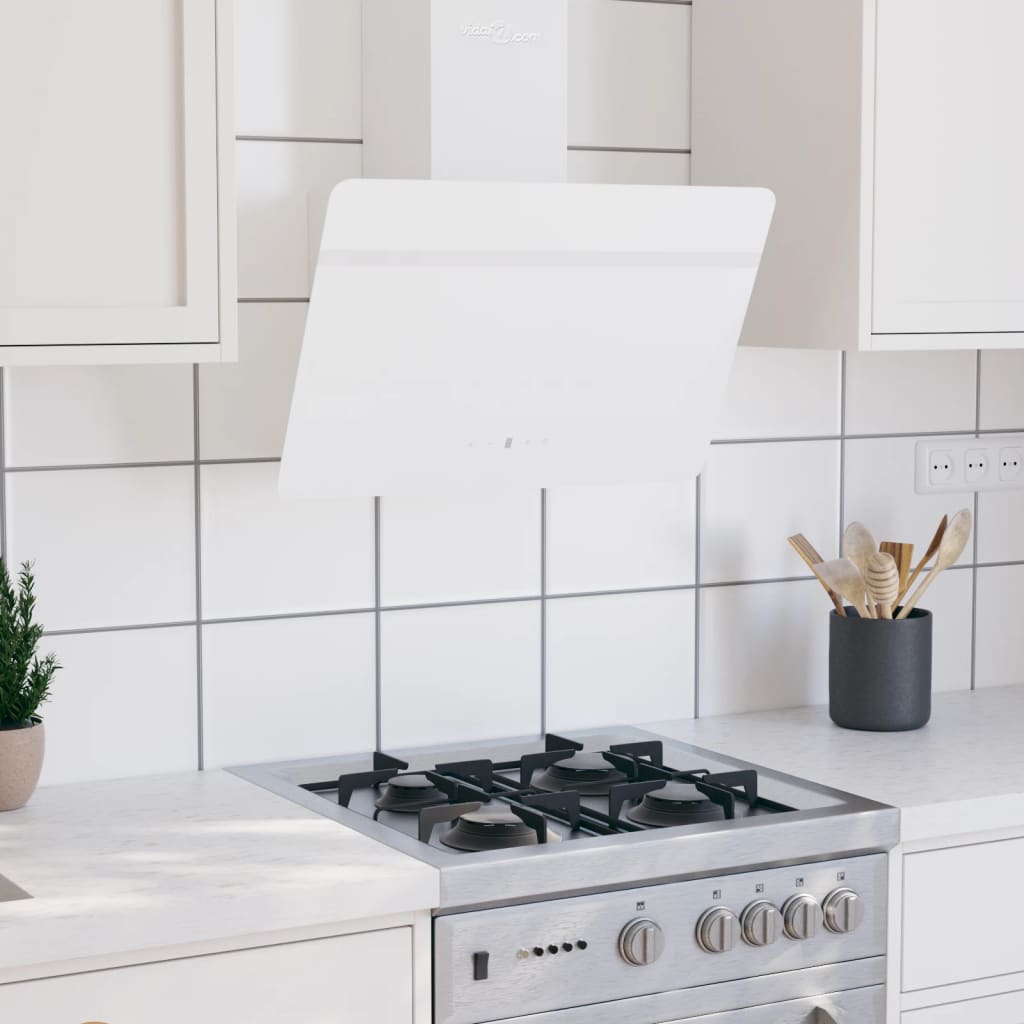 Vidaxl Wandextraktionshaube 60 cm Stahl und geschmittertes Glasweiß