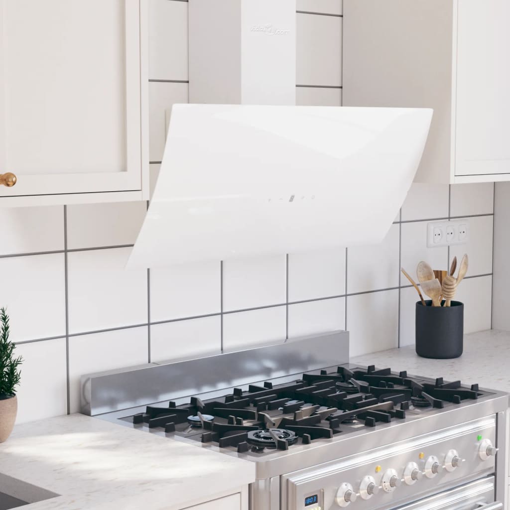 Vidaxl Wandextraktionshaube 90 cm Stahl und geschmittertes Glasweiß