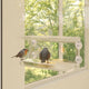VIDAXL -Vogel -Feed -Behälter für Fenster 2 PCs 30x12x15 cm Acrylic
