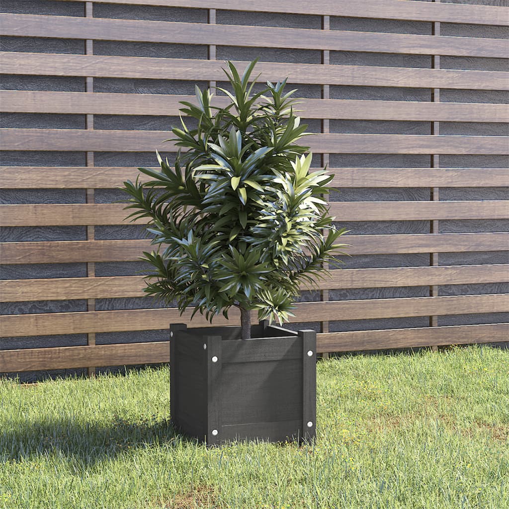 VIDAXL -Planungsbox 31x31x31 cm Festkiefergrau